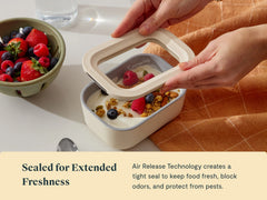 Mini Rectangle Container 4-pack