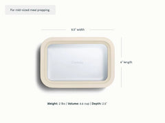 Medium Storage Container